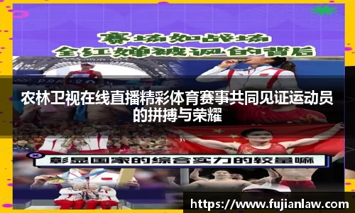 农林卫视在线直播精彩体育赛事共同见证运动员的拼搏与荣耀