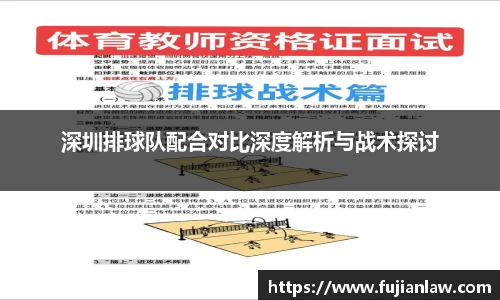 深圳排球队配合对比深度解析与战术探讨